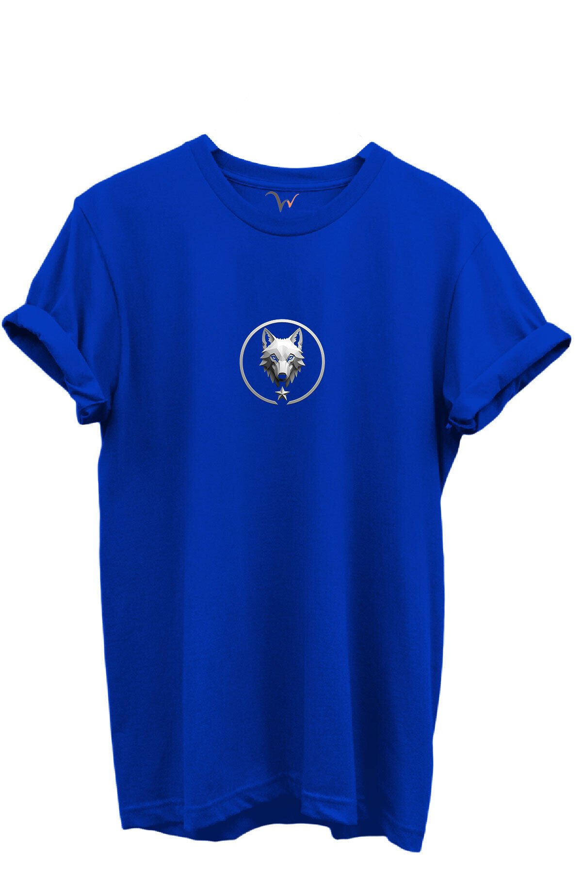 KURT ve TÜRK Özel Koleksiyon Serisi-10 Tasarım Baskılı %100 Pamuk T-shirt Saks Mavi - L