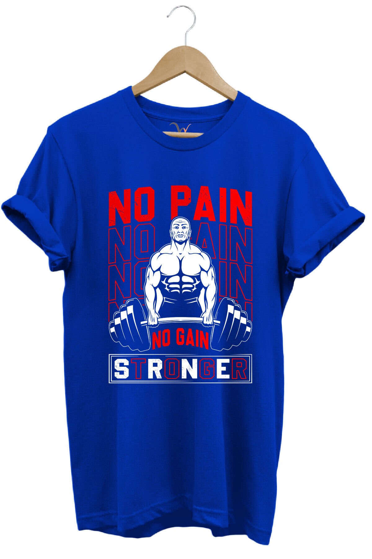 Gym Sporcu Fitness No Pain No Gain Dumbell Tasarım Baskılı %100 Pamuk Regular Fit Mavi T-shirt Mavi - 3XL