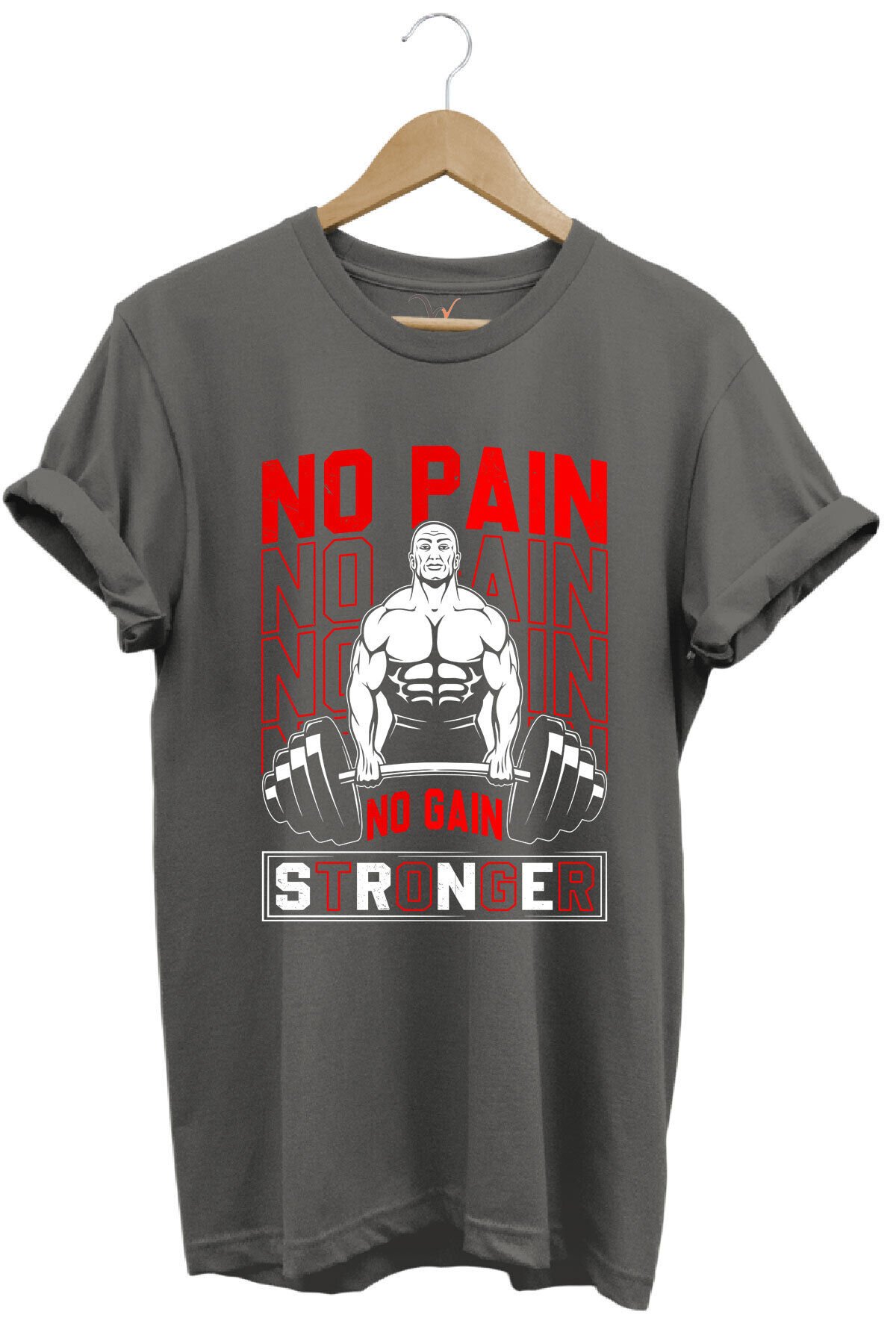 Gym Sporcu Fitness No Pain No Gain Dumbell Tasarım Baskılı %100 Pamuk Regular Fit Mavi T-shirt Gri - M
